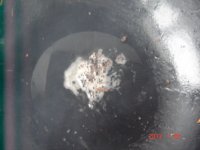 干煸豆角