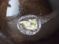 菠萝鸡球