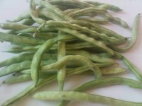 蒜茸四季豆