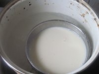 蛋挞