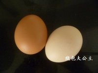 虾皮蒸蛋