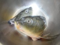 枸杞鱼头白菜汤