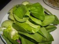蚝油油菜