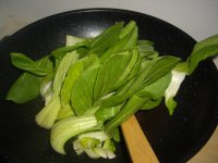 蚝油油菜