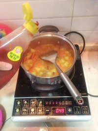 精华版罗宋汤