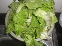 蚝油生菜