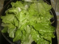 蚝油生菜