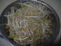 炒豆菜