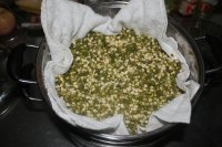 自发豆芽