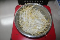 自发豆芽