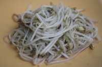 自发豆芽