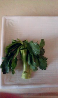 小牛早上好三明治