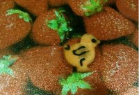 小牛早上好三明治