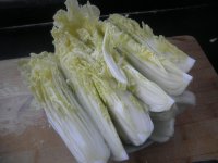 鲜虾娃娃菜