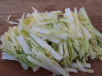白菜豆腐