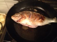 酸溜鳊鱼