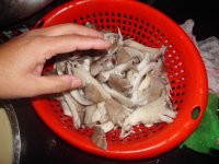 炸鲜蘑