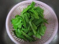 蚝油油麦菜