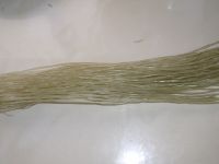 大白菜烧粉条