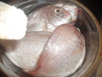 干煎椒盐赤鯮鱼