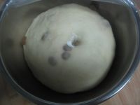 全麦蜂蜜葡萄干面包