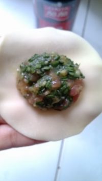猪肉韭菜馅饺子