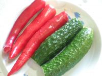 苜蓿肉