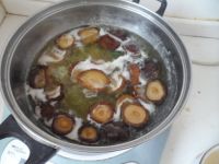 香菇四季青