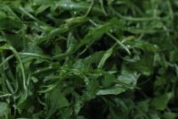 荠菜炒蘑菇