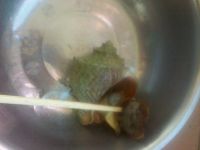 红里子拌黄瓜