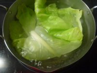 卷心菜包豆腐