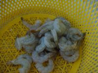 香煎脆皮虾饺子