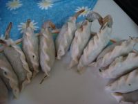 香煎脆皮虾饺子
