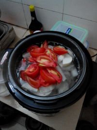 西红柿龙骨汤