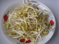 黄豆芽炒肉末