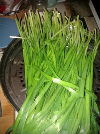 韭菜豆腐大包