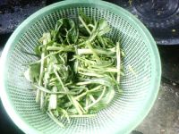 高脚菜心炒凉薯