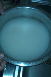 蜜枣白米饭