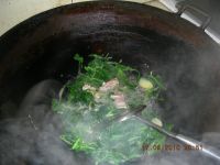 小菜苗瘦肉汤