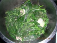 小菜苗瘦肉汤