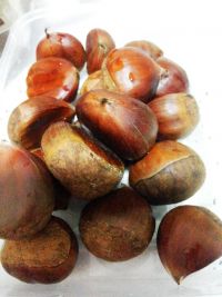 煮栗子