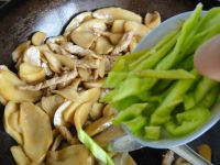 鸡腿菇炒肉
