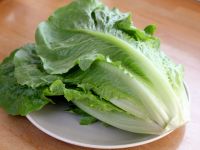 白灼生菜