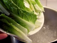 白灼生菜
