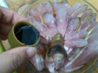 孔雀开屏鱼