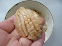 XO酱蒸鲍鱼