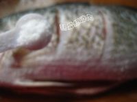 红烧海桂鱼