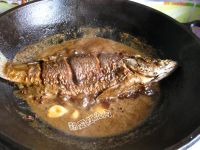 红烧海桂鱼