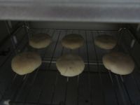 豆沙苏式月饼