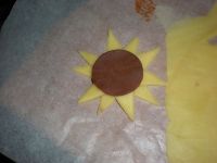 太阳饼干